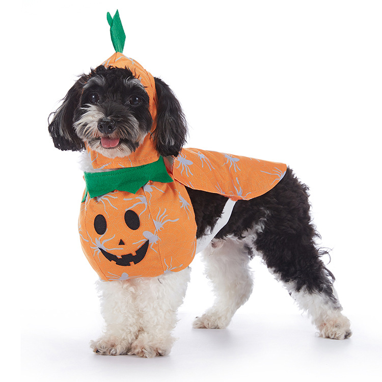 Halloween Dog Costumes – Cute & Comfortable Pet Outfits for Small & Large Dogs | Pumpkin, Ghost, Witch & Spooky Styles