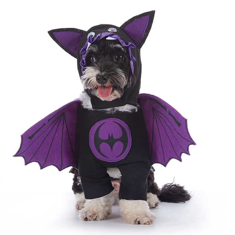 Halloween Dog Costumes – Cute & Comfortable Pet Outfits for Small & Large Dogs | Pumpkin, Ghost, Witch & Spooky Styles