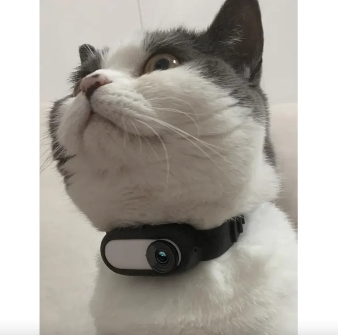 Wireless Pet Collar Camera