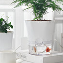 Automatic Water-Absorbing Flowerpot